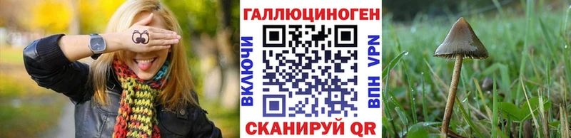Купить где  Куса  Галлюциногенные грибы ЛСД 